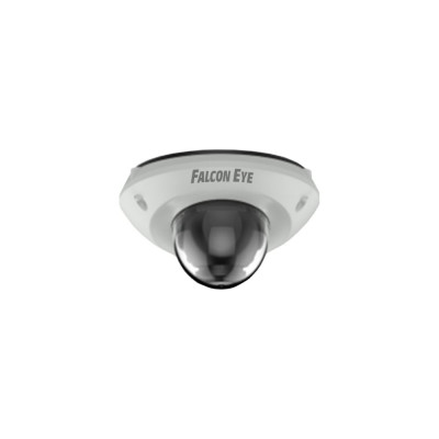 IP видеокамера Falcon Eye FE-IPC-D2-10PM 00-00117021
