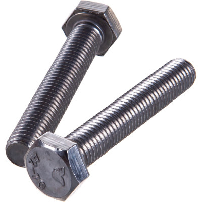 Болт DIN 933 с шестигр. гол. с полн. рез. ГОСКРЕП 12 х 70 нержав. сталь 2 шт. 10-0015090