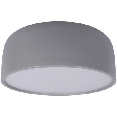 Накладной светильник LOFT IT Axel 10201/350 Grey