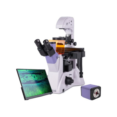 Люминесцентный инвертированный цифровой микроскоп MAGUS lum vd500 lcd 83021