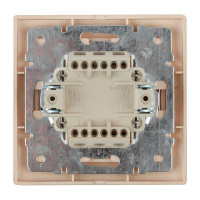 Переключатель Intro 10А 250В, IP20, СУ, Plano, шампань Б0030039