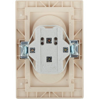 Розетка Intro 2х2P, 16А, 250В, IP20, СУ, Plano, шампань Б0030067