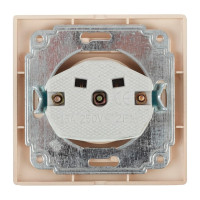 Розетка Intro 2P, 16А, 250В, IP20, СУ, Plano, шампань Б0030055