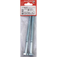 Сантехнический болт Стройбат DIN 571 12x160 белый цинк 2 шт 310170