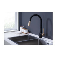 Смеситель для кухни с выдвижной лейкой DQ Rhein.Schiller, черный-золото DA1462517A