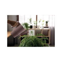 Лейка Prosperplast Ibis 2 л, антрацит IKI2 S433 072055