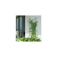 Опора для растений Prosperplast IFLS3 G851 IFLS3 60 см, h120 см, зеленый 072186