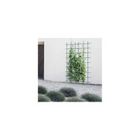 Опора для растений Prosperplast IFLS4 G851 IFLS4 120 см, h180 см, зеленый 072187