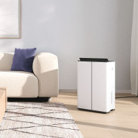 Осушитель воздуха бытовой Stadler Form (с компрессором) Lukas, с гигростатом, умным домом, Wi-Fi и управлением с телефона, белый L-031E