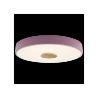 Накладной светильник LOFT IT Axel 2 10003/24 Pink