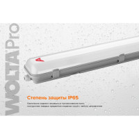 Светильник Wolta PRO УльтраПРОМ с БАП Матовый EM1 ДСП04-54-041-5К