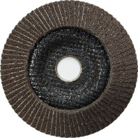 Круг лепестковый торцевой Rodex (125 мм; P40) Bull RZF0425