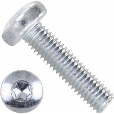 Винт ЦКИ DIN 7985, М4x30, A2, TX 20, 500 шт. 69625