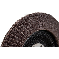 Круг лепестковый торцевой Rodex (125 мм; P40) Bull RZF0425