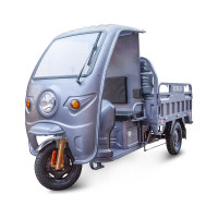 Грузовой электротрицикл Rutrike Глобус 1500 60V/1000W серый 023370-2574