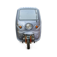 Грузовой электротрицикл Rutrike Глобус 1500 60V/1000W серый 023370-2574