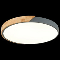 Накладной светильник Evoluce Festa SLE200972-01