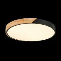 Накладной светильник Evoluce Festa SLE200942-01