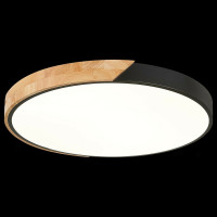 Накладной светильник Evoluce Festa SLE200942-01