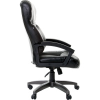 Компьютерное офисное кресло руководителя BRABIX Vector EX-559, с подлокотниками, экокожа премиум 531385