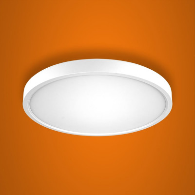 Настенно-потолочный светодиодный светильник iSVET 24Вт круглый накладной, управляемый PNT-101-2-4