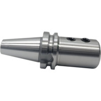 Оправка BT50-SLA25-100 Prosaers 20190