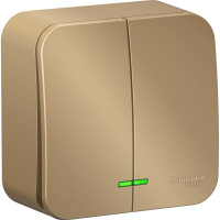 2-клавишный выключатель Systeme Electric Blanca открытой установки (cх.5) с подсветкой, 10а, 250b, титан BLNVA105104