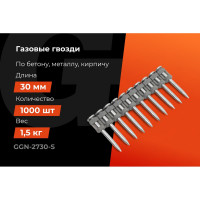 Гвозди по бетону Gigant 2,7x30 мм стандарт. оцинк. 1000шт без газового баллона GGN-2730-S