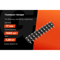 Гвозди по бетону Gigant 3,05x17 мм усиленные оцинк. 1000шт без газового баллона GGN-30517-P
