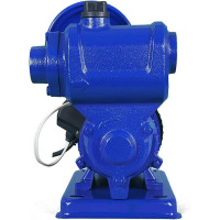 Автоматическая насосная станция MATEUS TGP125C MS05404