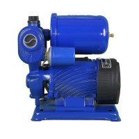 Автоматическая насосная станция MATEUS TGP125C MS05404