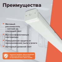 Светильник Wolta  IP67 мощностью 54 Вт, 6500К, с матовым рассеивателем ДСП15-54-001-6К