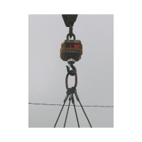 Крановые весы CAS 15THD RF CA0C81156GCI0501