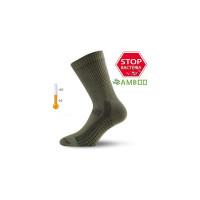 Носки Lasting TSR 620 бамбук+полипропилен, темно-зеленый, размер S TSR620-S