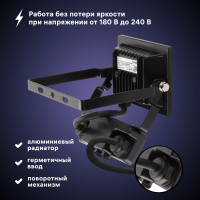Светодиодный прожектор RITTER серия PROFI 230В 20 Вт 6500К 2000Лм IP65 с датчиком движения черный 53420 8
