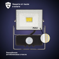 Светодиодный прожектор RITTER серия PROFI 230В 20 Вт 6500К 2000Лм IP65 с датчиком движения черный 53420 8