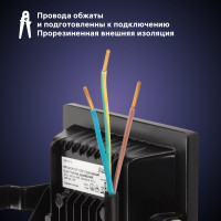 Светодиодный прожектор RITTER серия PROFI 230В 20 Вт 6500К 2000Лм IP65 с датчиком движения черный 53420 8