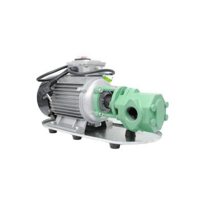 Электрический шестеренный насос Petropump WCB-75 220 В, для масла PP220601