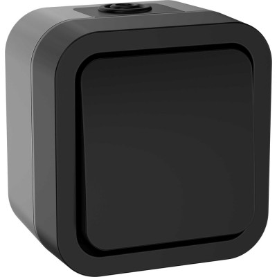 Двухполюсный одноклавишный выключатель IEK Tors 10а ip55 ts111 графит TS-V16-0-10-55-K53