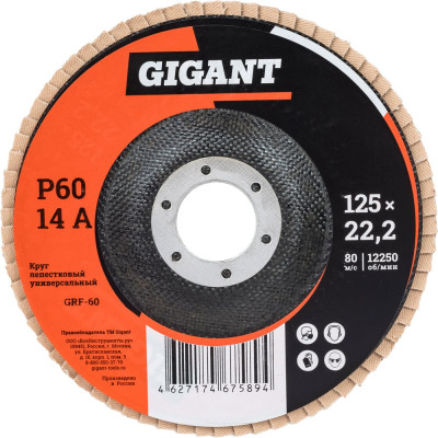 Круг лепестковый торцевой 10 шт 125x22,2 Gigant GRF-60-10