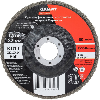 Круг лепестковый 125x22,2 мм; P60; цирконий, 10 шт Gigant Professional GNT-P60-10