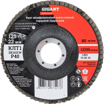 Круг лепестковый 125x22,2 мм; P40; цирконий, 10 шт Gigant Professional GNT-P40-10