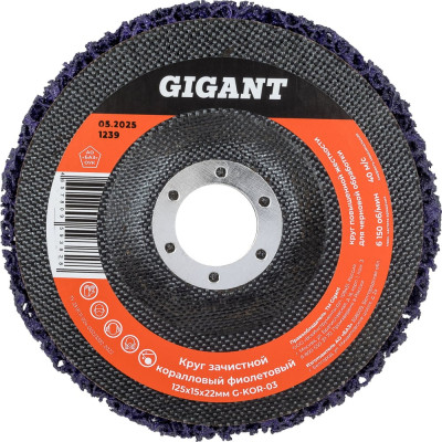 Диск абразивный коралловый фиолетовый 125х22 мм, 5 шт Gigant G-KOR-03-5