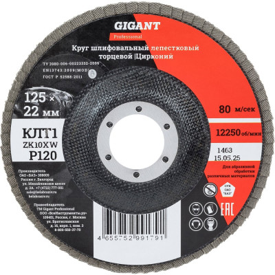 Круг лепестковый 125x22,2 мм; P120; цирконий, 10 шт Gigant Professional GNT-P120-10