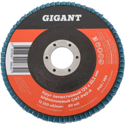 Круг лепестковый 125х22,2 мм; P40; цирконий Gigant Professional GNT-P40-А