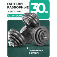 Гантели разборные PROIRON из чугуна, с грифом, 2 шт, по 15 кг Г2150Ч