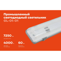 Промышленный светодиодный светильник Gigant 60Вт/1200 мм, Прозрачный 7250Лм IP65 GL-01-01