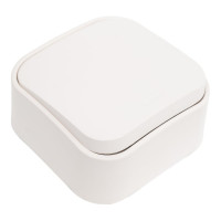 Выключатель Legrand кнопочный одноклавишный Quteo IP20 6А 250В винтовые зажимы накладной монтаж белый 782205