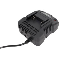 Зарядное устройство TRUEGREEN TG8M248