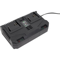 Зарядное устройство TRUEGREEN TG8M250